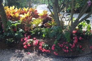 Tropical demonstration garden