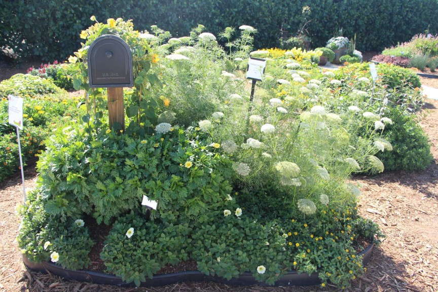 Mailbox garden