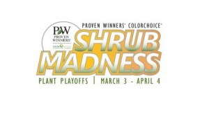 Shrub Madness Will Crown One Proven Winners Shrub A Champion