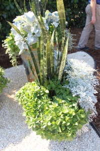 Unusual combinations