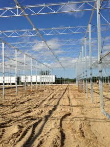 Van de Wetering Greenhouses