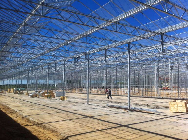 Van de Wetering Greenhouses