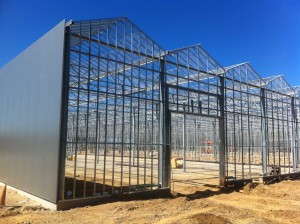 Van de Wetering Greenhouses
