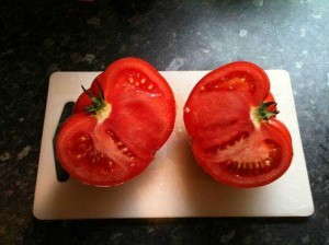 Tomato ‘Big League’ (Vegetalis)