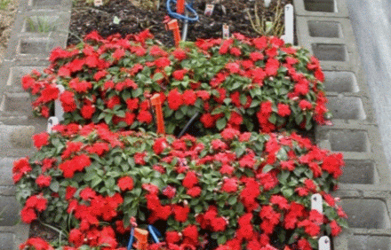 Top 5 Stories From 2014