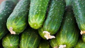 8 Vegetables You Should Try