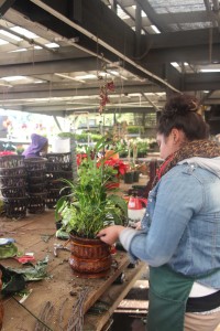 Employee Gives The Combo Garden The Finishing Touches