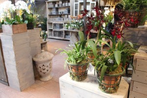 Interior Combo Garden In Wire Containers