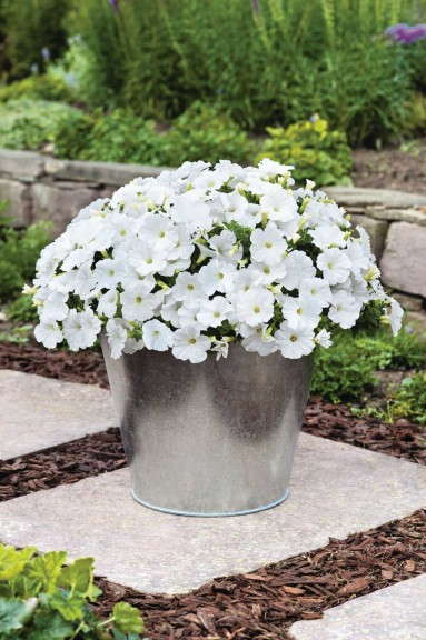 Success White decorative pot