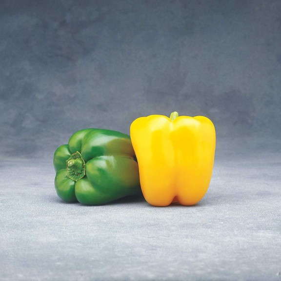 Sweet Bell Pepper ‘Admiral’ (Syngenta)