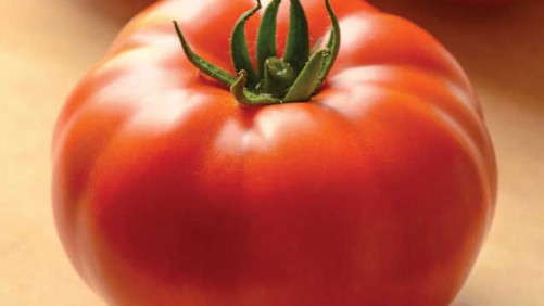 Three Michigan State University On-Demand Webinars Offer Effective Strategies For Insect And Disease Control On Vegetables