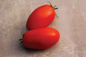 Roma Tomato ‘Supremo F1’ (Sakata Seed)
