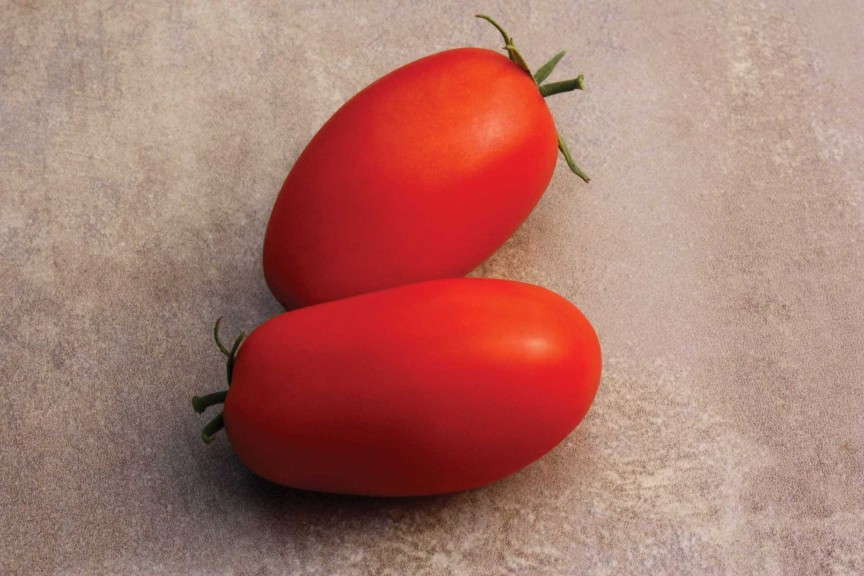 Roma Tomato ‘Supremo F1’ (Sakata Seed)