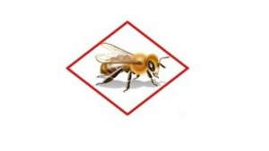 Bachman’s Takes Steps Toward Pollinator Preservation