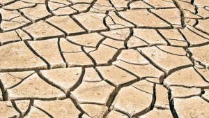 Could You Operate With 40 Percent Less Water?