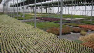 Will Greenhouses Add Production Space In 2014?