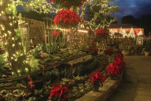 With the mild winter weather, nighttime outdoor merchandising matters.