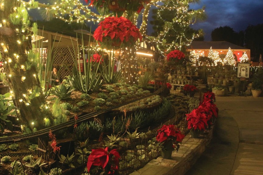 With the mild winter weather, nighttime outdoor merchandising matters.