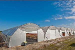 FLS Reflective Shade (Svensson)