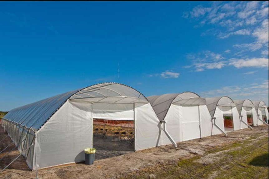 FLS Reflective Shade (Svensson)