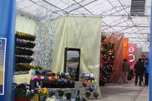 Benary's Display Rooms