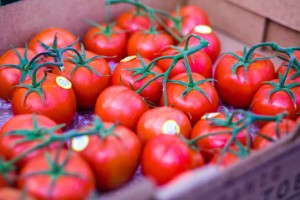 Supplying Rapid Demand Growth