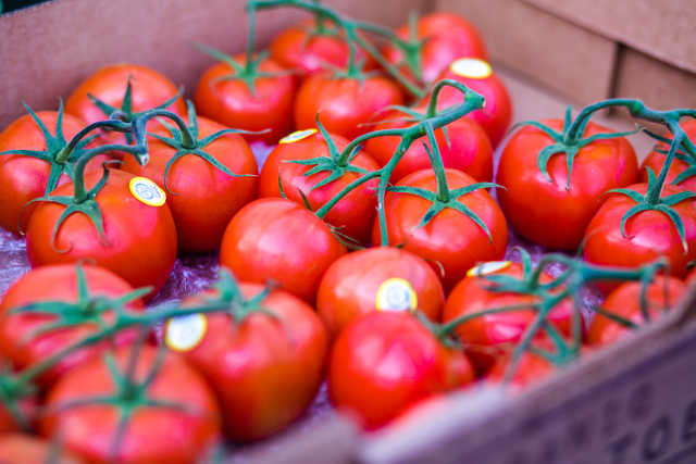 Supplying Rapid Demand Growth