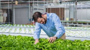 The Circle Fresh Institute Wants To Train The Next Generation Of Growers