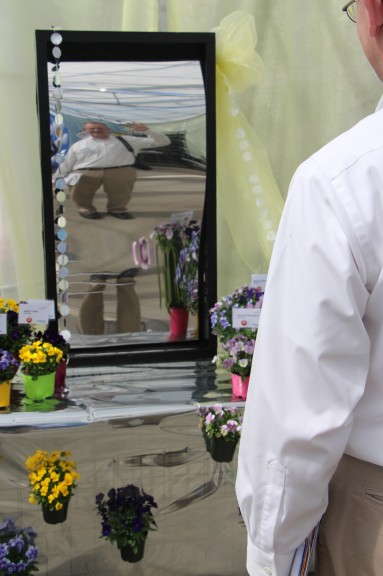 Fun-House Mirror At Benary