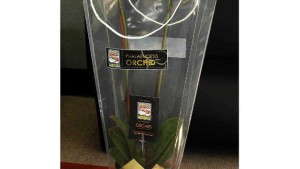 Rocket Farms Gifts Flowers For Oscar VIPs