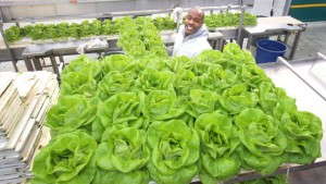 Green City Growers Produces Food For Local Customers, Provides Jobs To Core Urban Area