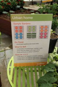 Urban Home Gardens