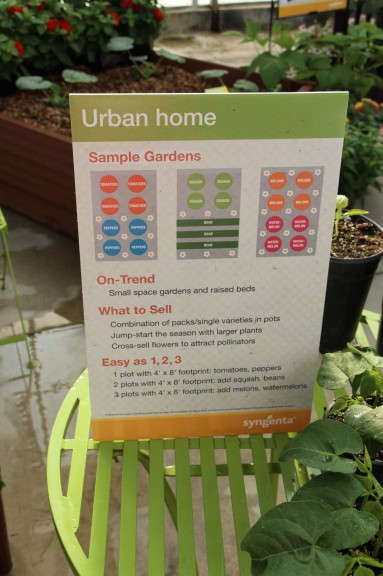 Urban Home Gardens