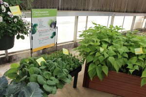 Bring Consumers Back To The Stores