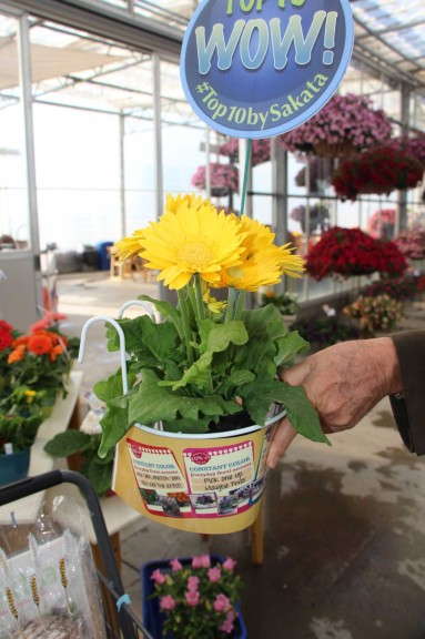 Grocery cart hangers for easier shopping