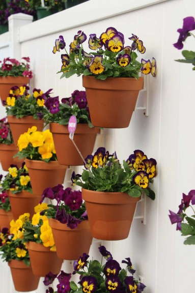 Displays customers can copy