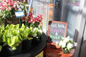 Mix it up with ornamentals and veggies