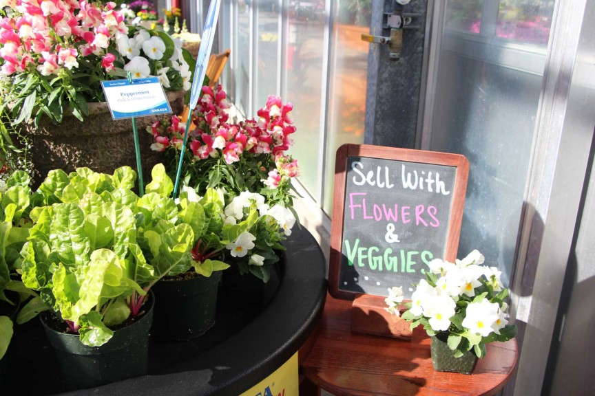 Mix it up with ornamentals and veggies