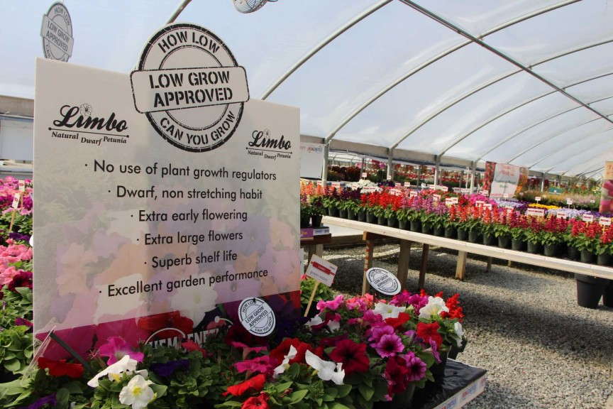 How Low Can You Grow campaign