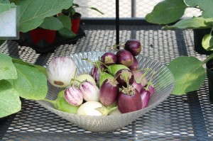 Vegetalis Container Eggplant