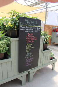 Vegetalis' List Of Container Veggies