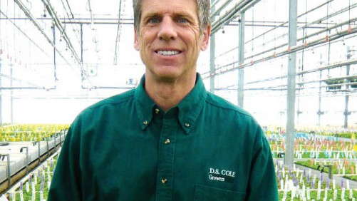 D.S. Cole Growers Is Growing With Lean Flow And Sustainable Certification