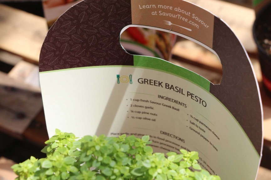 Pacific Plug & Liner's Greek Basil Tree packaging