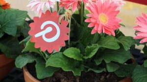 Sakata Goes Big On Social Media