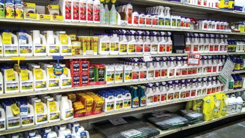 Ian Baldwin Sees Several Garden Trends Developing This Spring