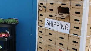 EuroAmerican Propagators Offers New Shipping Solutions