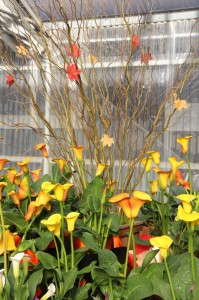 Season-Extending Displays