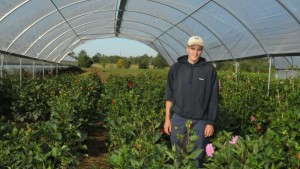 9 High Tunnel And Shade Products For Your Operation