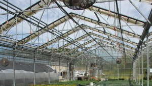 Greenhouse Growers Look To Build And Retrofit In 2015