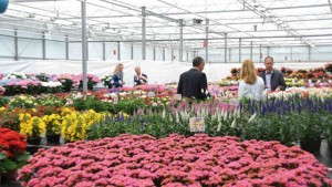 Flower Trials Will Have A Record Number Of Participants For 10th Anniversary